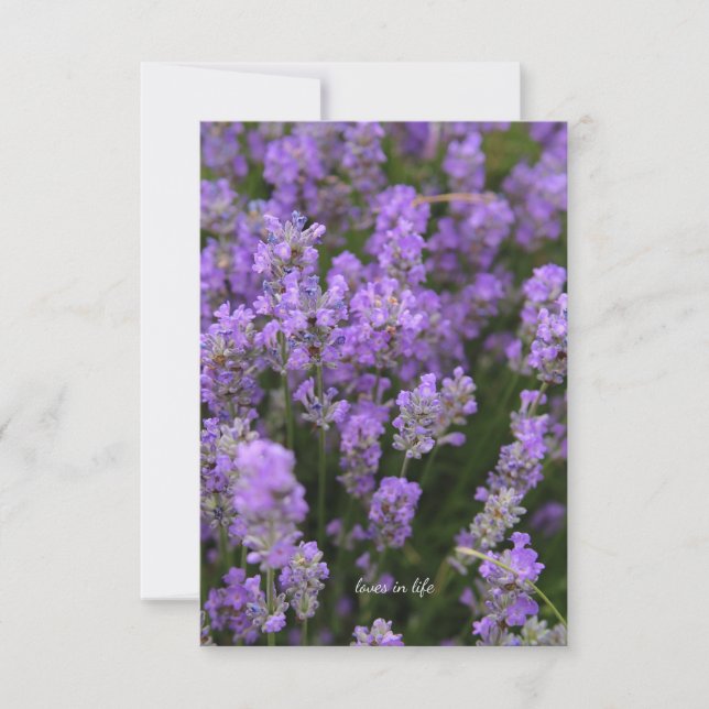 Lovely Light Lavender Card (Front)