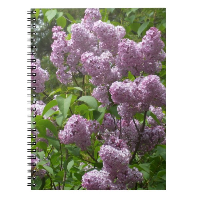 Lovely Lilac Bush Notebook (Front)