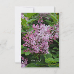 Lovely Lilac Card