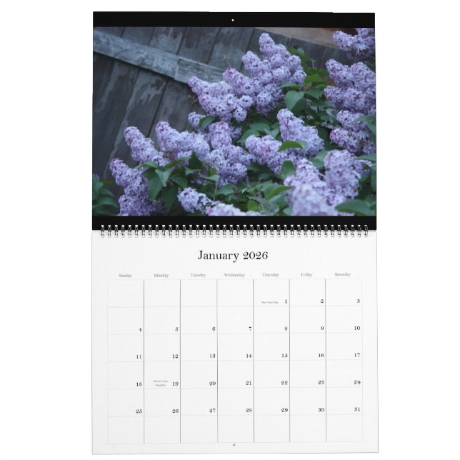 Lovely Lilacs 12 Month Calendar (Jan 2026)