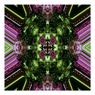 Lovely Lilacs... Poster