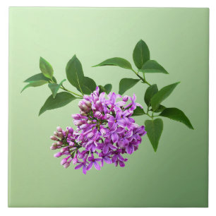 Lovely Lilacs Tile