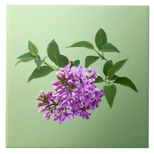 Lovely Lilacs Tile (Front)