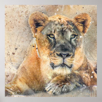 Lovely Lioness Photography Modern Watercolor