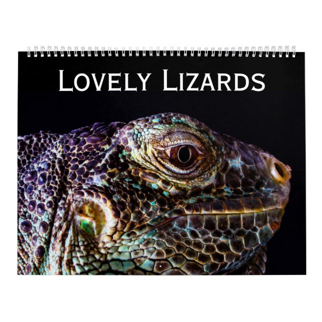 Lovely Lizards Calendar (Cover)
