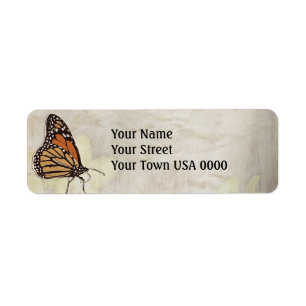 lovely monarch butterlies design