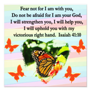 LOVELY ORANGE BUTTERFLY ISAIAH 41:10 DESIGN PHOTO PRINT