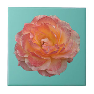 Lovely orange peony tile