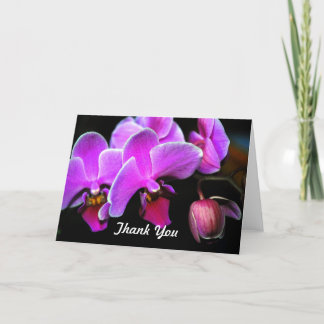 Lovely Orchid Thank You Card