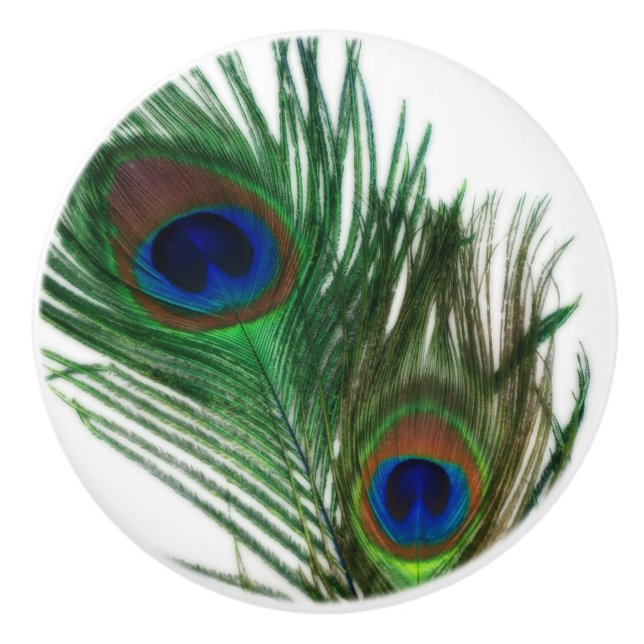 Lovely Peacock Feather Ceramic Knob (Front)