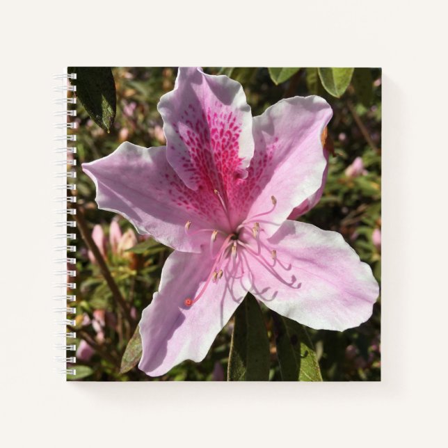 Lovely Pink Azalea Notebook (Front)
