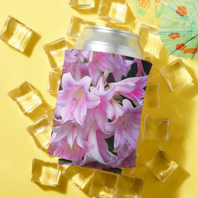 Lovely Pink Belladonna Amaryllis Lilies Can Cooler (In Situ Summer)