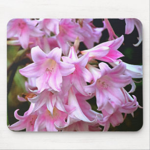 Lovely Pink Belladonna Amaryllis Lilies Mouse Mat