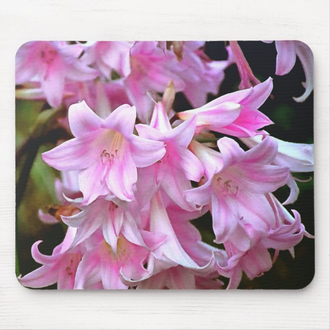 Lovely Pink Belladonna Amaryllis Lilies Mouse Mat (Front)