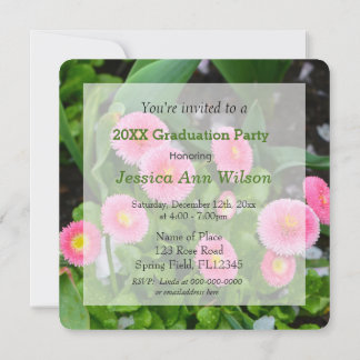 Lovely pink garden daisy flowers graduation invitation