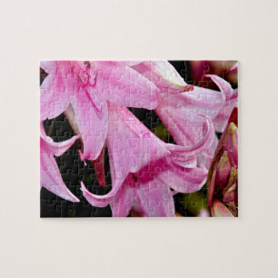 Lovely pink lilies jigsaw puzzle
