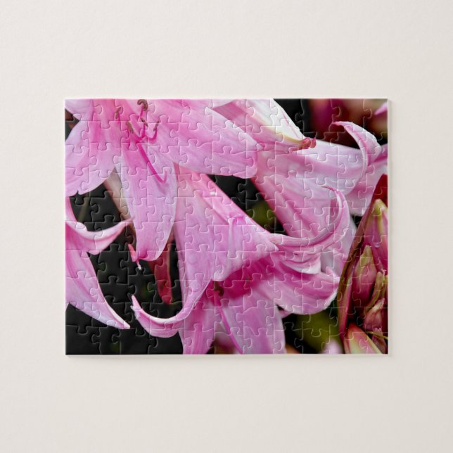 Lovely pink lilies jigsaw puzzle (Horizontal)