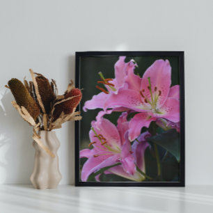 Lovely Pink Lily Blooms Floral Glossy Poster