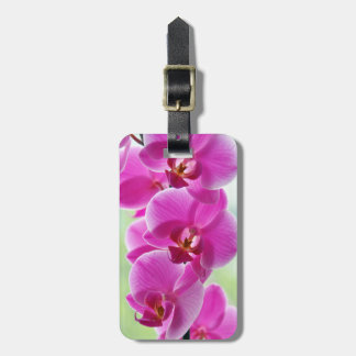 Lovely Pink Orchids Luggage Tag