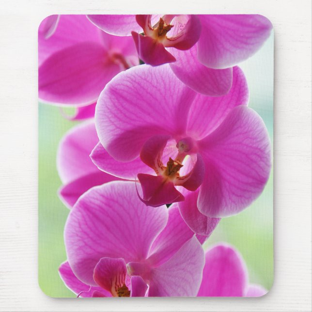 Lovely Pink Orchids Mouse Mat (Front)