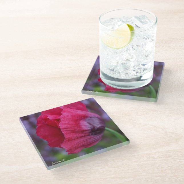 Lovely PInk & Purple Poppy Flower Glass Coaster (Angled)