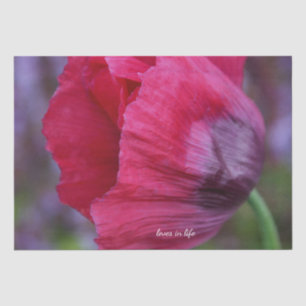 Lovely PInk & Purple Poppy Flower Tissue Paper