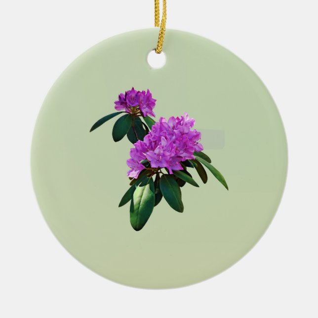 Lovely Pink Rhododendrons Ceramic Tree Decoration (Front)