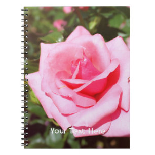 lovely pink rose flower with sweet hearts notebook