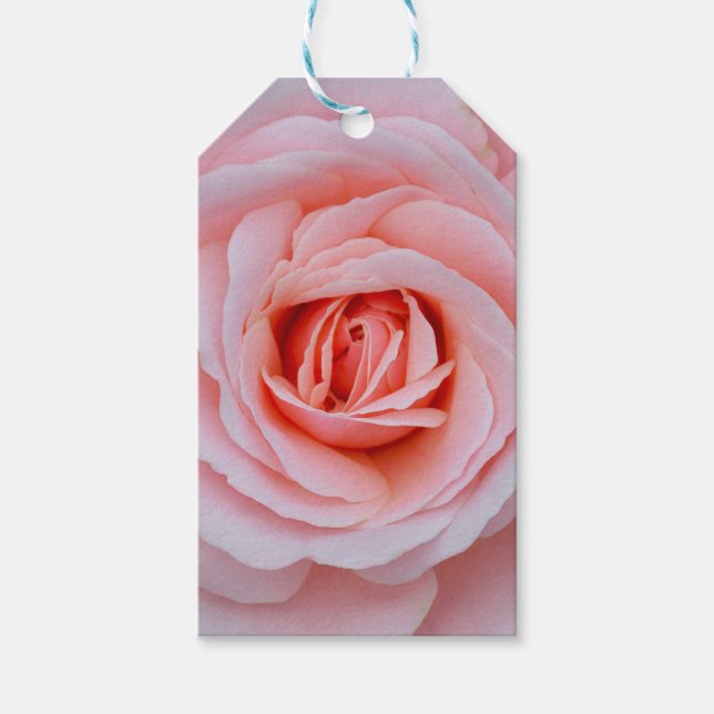 Lovely pink rose gift tags (Front)