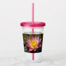 Lovely Pink Water Lily Photograph
