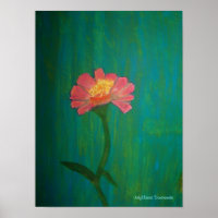 Lovely Pink Zinnia