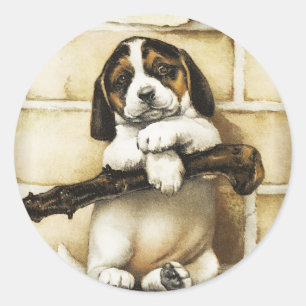 Lovely Puppy  Classic Round Sticker