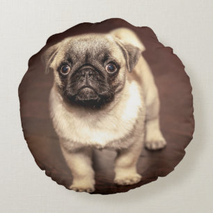 Lovely Puppy Pug, Dog, Pet, Animal Round Cushion