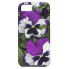 Lovely Purple and White Pansy Art