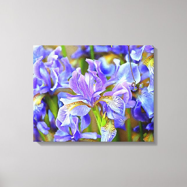 Lovely Purple Irises in May Canvas Print (Front)