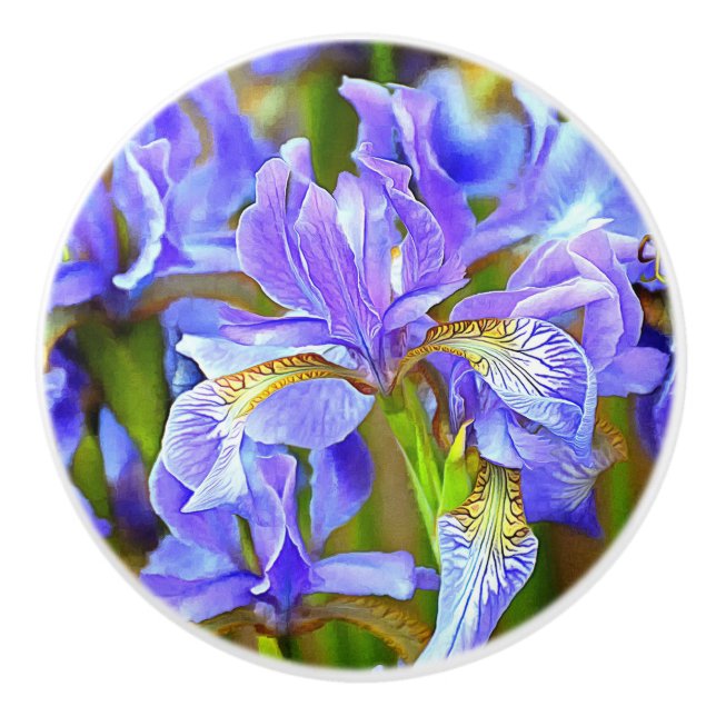 Lovely Purple Irises in May Ceramic Knob (Front)