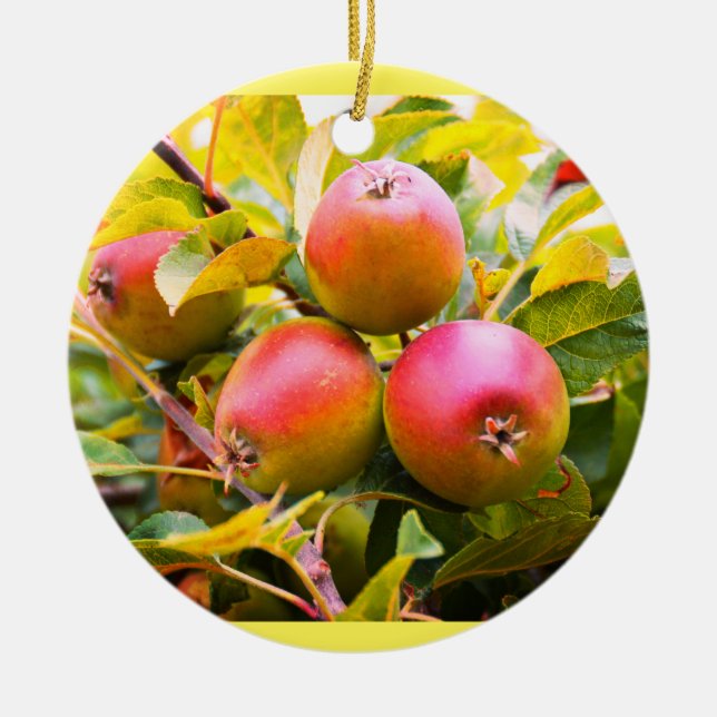 Lovely red apples ceramic tree decoration (Front)