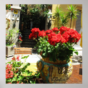 LOVELY RED FLOWERS IN CERAMIC POT POSTER