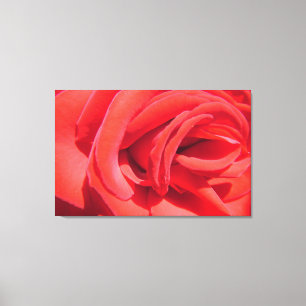 lovely red rose flower photo art work. love, wed canvas print