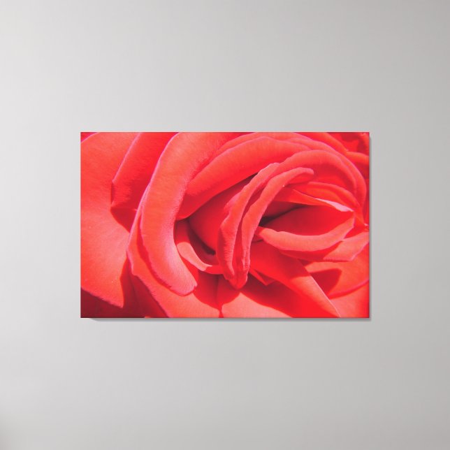 lovely red rose flower photo art work. love, wed canvas print (Front)