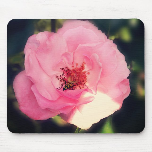 Lovely Rose Flower Photography  Mousepad (Front)