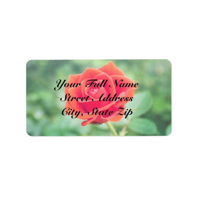 Lovely Rose Label (Front)