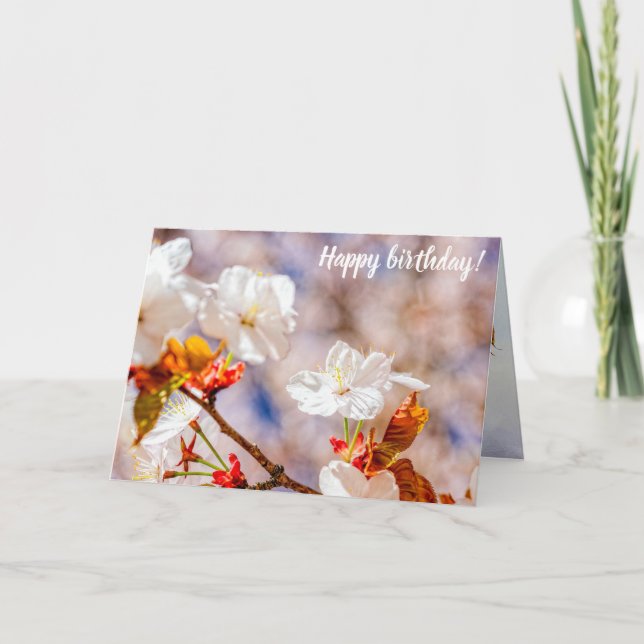 Lovely Sakura Flower On A Sunny Day Of Spring Card (Front)