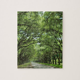 Lovely Savannah Georgia Jigsaw Puzzle