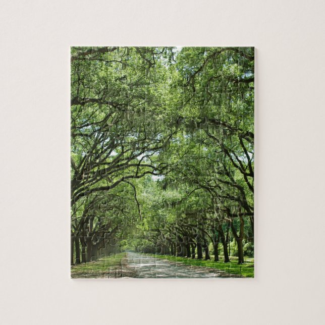 Lovely Savannah Georgia Jigsaw Puzzle (Vertical)