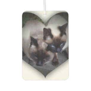 Lovely siamese AIR FRESHENER