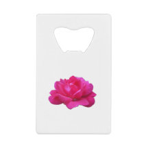 lovely single pink rose flower