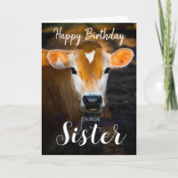 Lovely Sister Happy Birthday Card –Funny Cow Photo