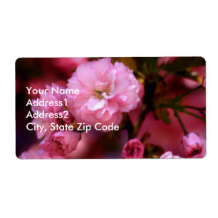 Lovely Spring Pink Cherry Blossoms
