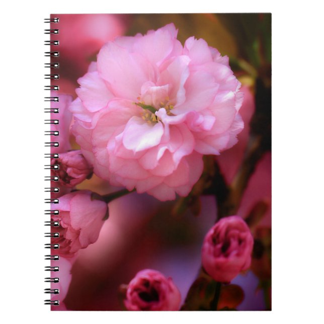 Lovely Spring Pink Cherry Blossoms Notebook (Front)